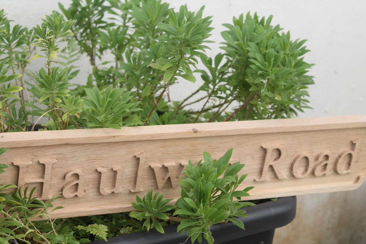 The King of Signs – Embossed Oak House Sign