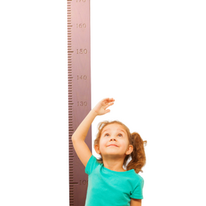 Giant wooden ruler metric engraved children height chart