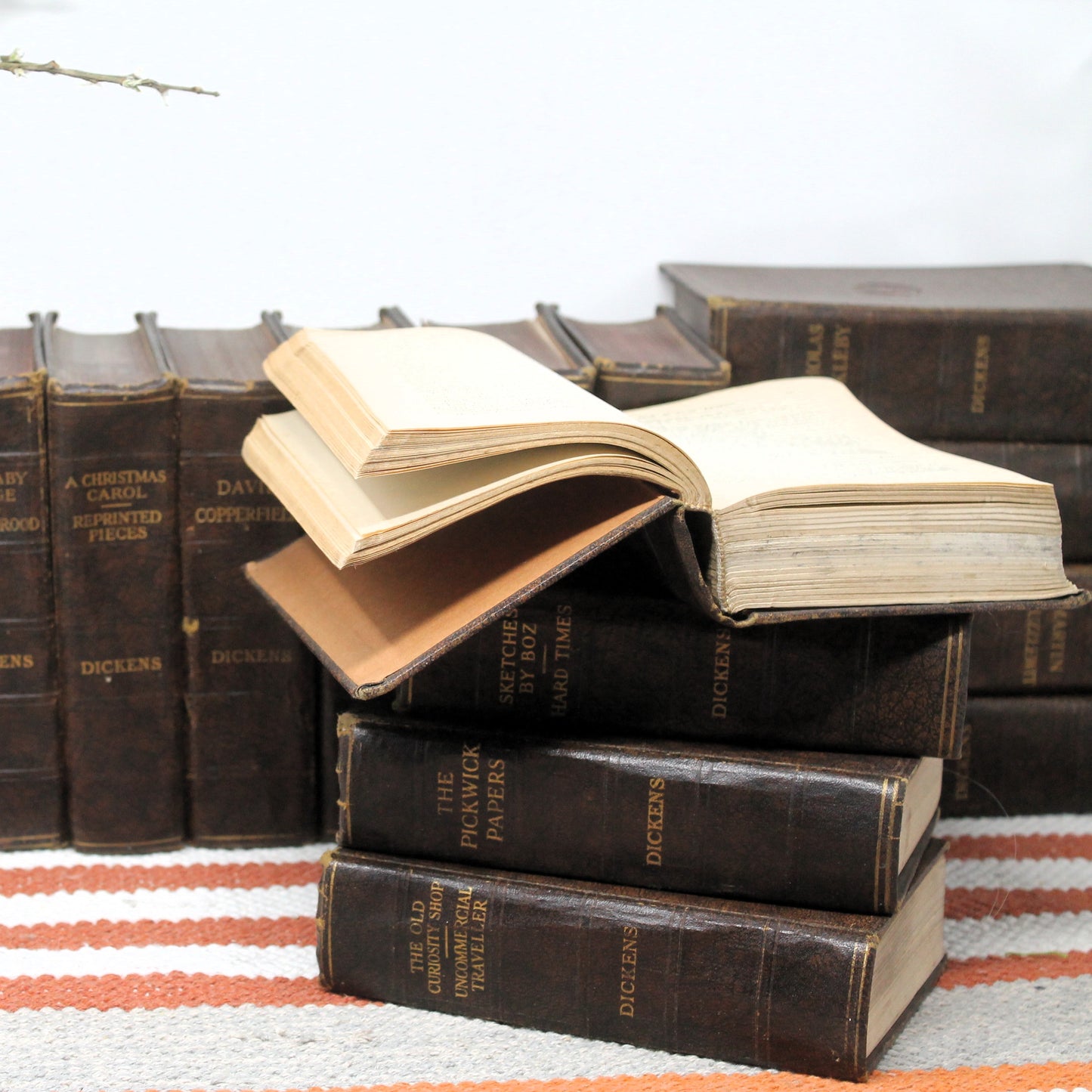 Vintage 16‑volume set of the Works of Charles Dickens