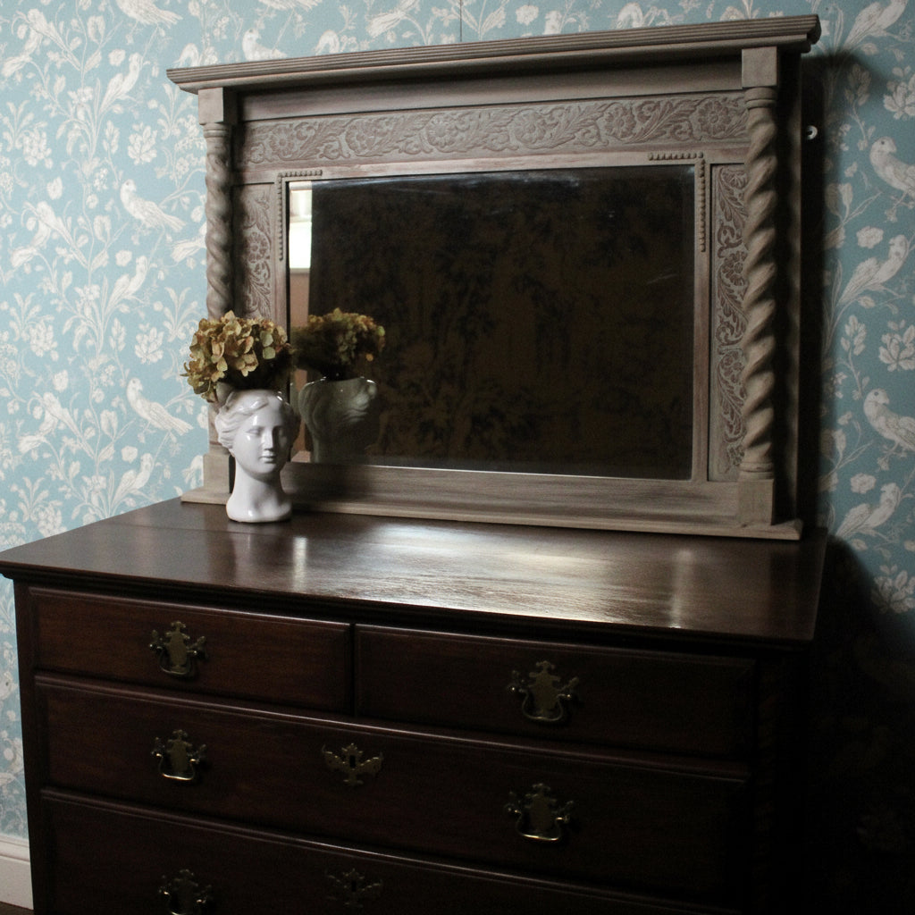Wooden mirror with plant on a plain wall