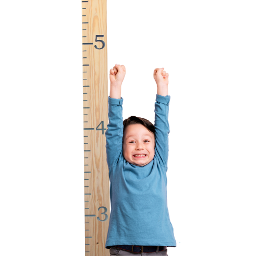 Wooden height Charts