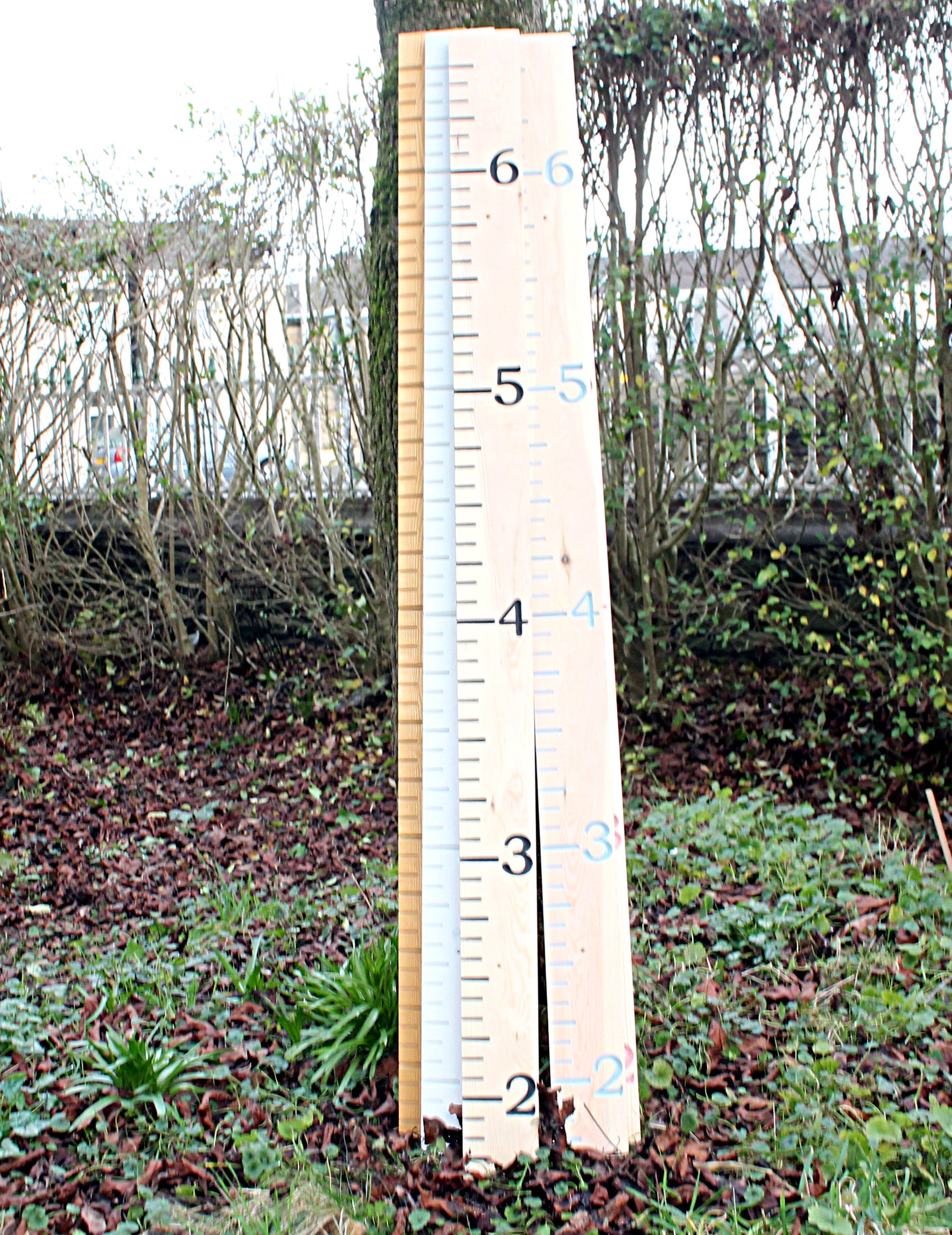 growth chart for children's room