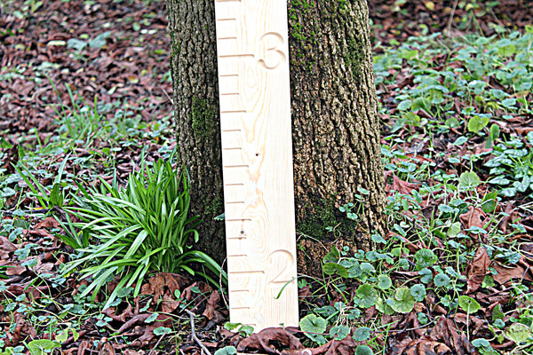 giant wooden ruler