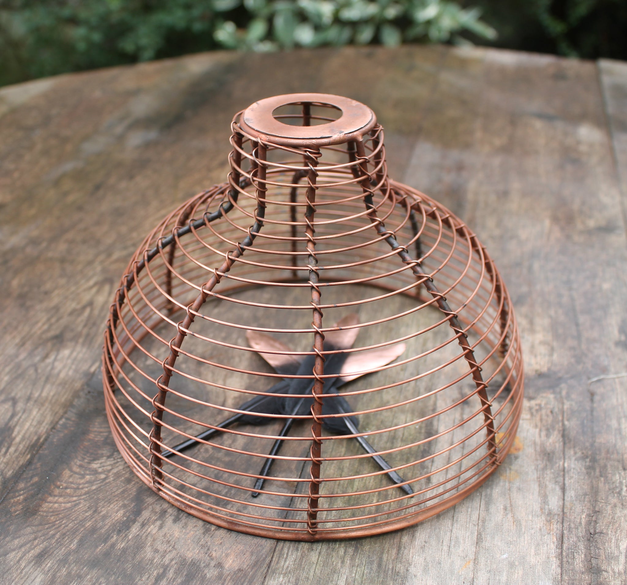 rustic light birdcage